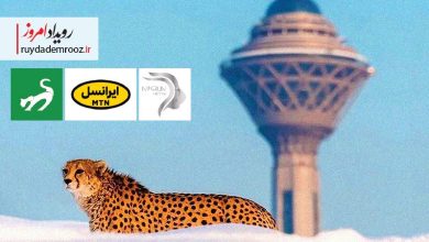 یوز ایرانی