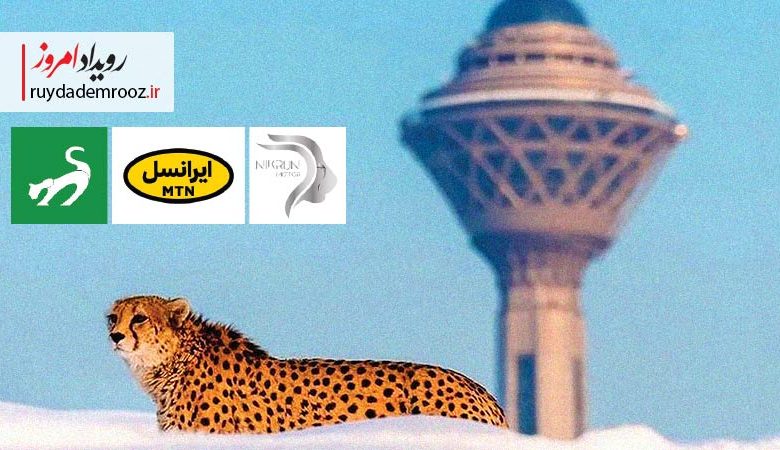 یوز ایرانی