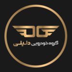 لوگوی گروه خودرویی دلیلی