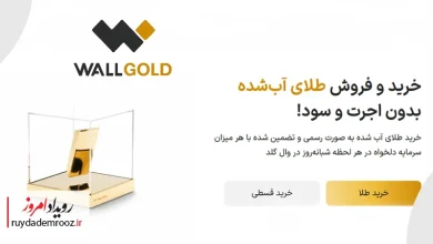 تمرکز بر جذب کاربران باکیفیت، راز رشد پایدار وال‌گلد-