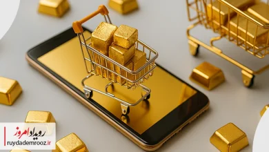 رئیس اتحادیه کسب‌وکارهای مجازی دست از سر بخش خصوصی بردارید!