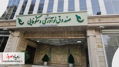 رشد ۱۴۶ درصدی ارائه خدمات مالی به شرکت‌های دانش‌بنیان