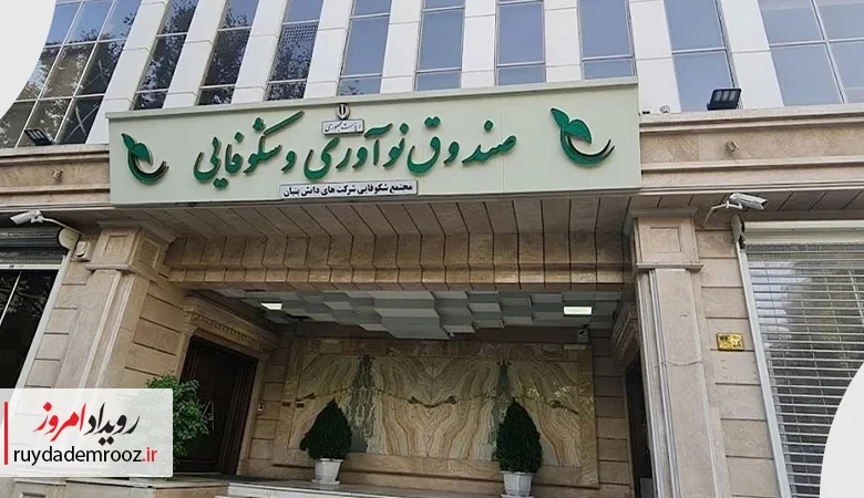 رشد ۱۴۶ درصدی ارائه خدمات مالی به شرکت‌های دانش‌بنیان