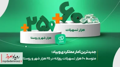 گزارش عملکرد ویپاد