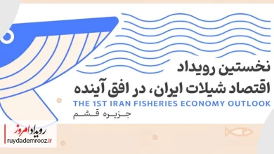 نخستین رویداد اقتصاد شیلات ایران در قشم؛ آغاز گفت‌وگوی ملی درباره آینده شیلات کشور