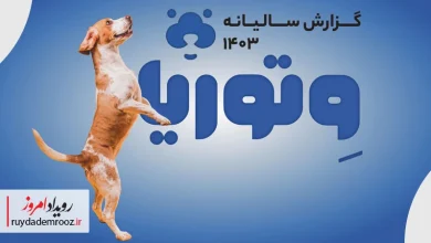 گزارش عملکرد سال ۱۴۰۳ وتوریا