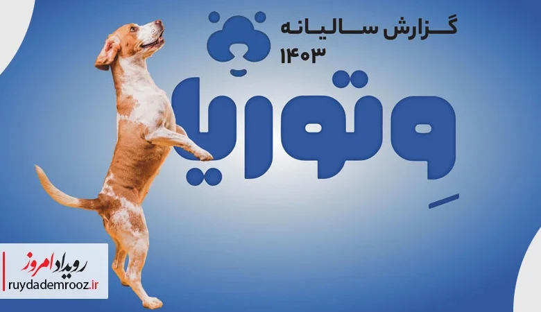 گزارش عملکرد سال ۱۴۰۳ وتوریا