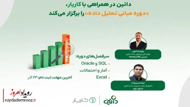 داتین و کاریار دوره ۱۰ هفته‌ای مبانی تحلیل داده را برگزار می‌کنند