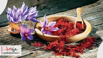 زعفران سحرخیز نشان عالی مدیر سال را دریافت کرد