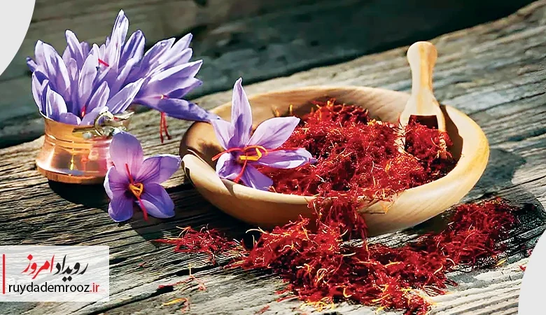 زعفران سحرخیز نشان عالی مدیر سال را دریافت کرد