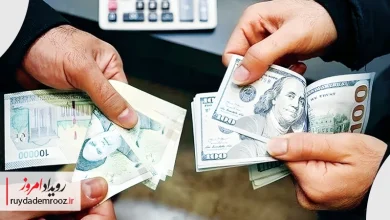 قیمت ارز طی هفته‌های اخیر از ۱۱۰ هزار تومان به ۱۳۰ هزار تومان رسیده است