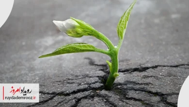 پادشکنندگی در شهرهای کارآفرین؛ اصفهان و مدل نوظهور پادشکنندگی شهری